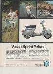 VesPone_gt